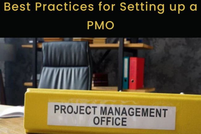 Best Practices for Setting up a PMO