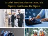 A brief introduction to Lean, Six Sigma, and Lean Six Sigma