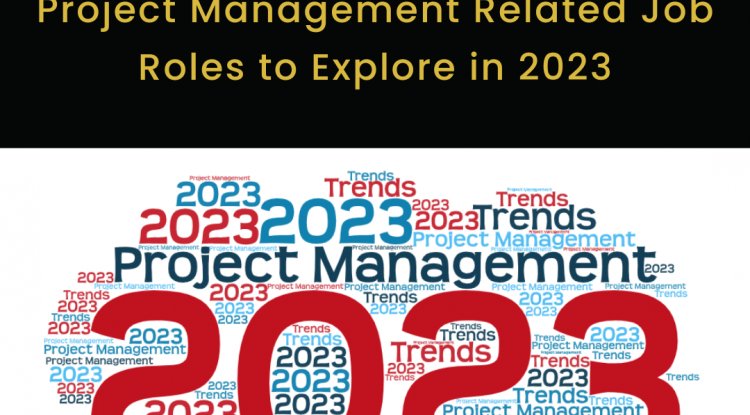 Exploring Job Roles Project Management Related Job Roles to Explore in 2023 - Gold Standard ...
