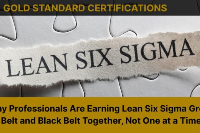 Lean Six Sigma Combo Certification: Roles & Salaries (US/Canada)