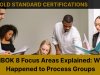 PMBOK 8 Focus Areas Explained: What Happened to Process Groups