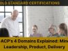 PMI-ACP's 4 Domains Explained: Mindset, Leadership, Product, Delivery