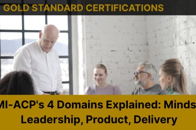 PMI-ACP's 4 Domains Explained: Mindset, Leadership, Product, Delivery