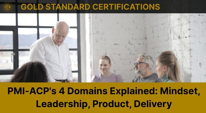 PMI-ACP's 4 Domains Explained: Mindset, Leadership, Product, Delivery